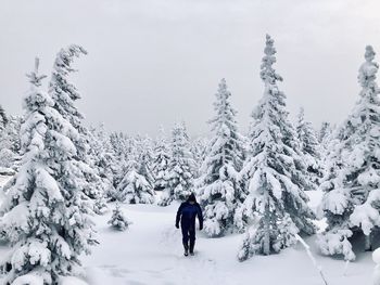 Woman walking on snow covered land against sky