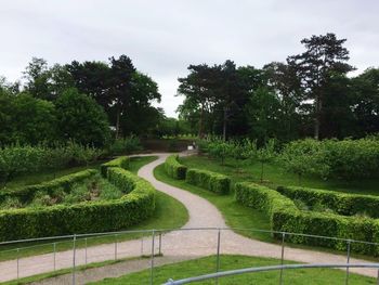 Footpath by trees against sky