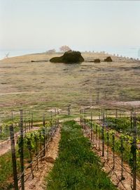 View of rural landscape