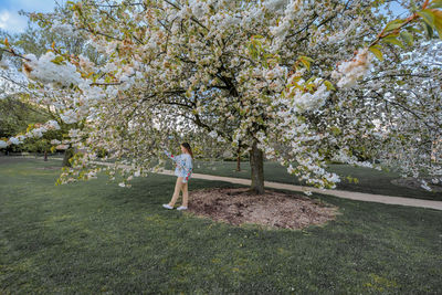 Full length of man standing on cherry blossom tree