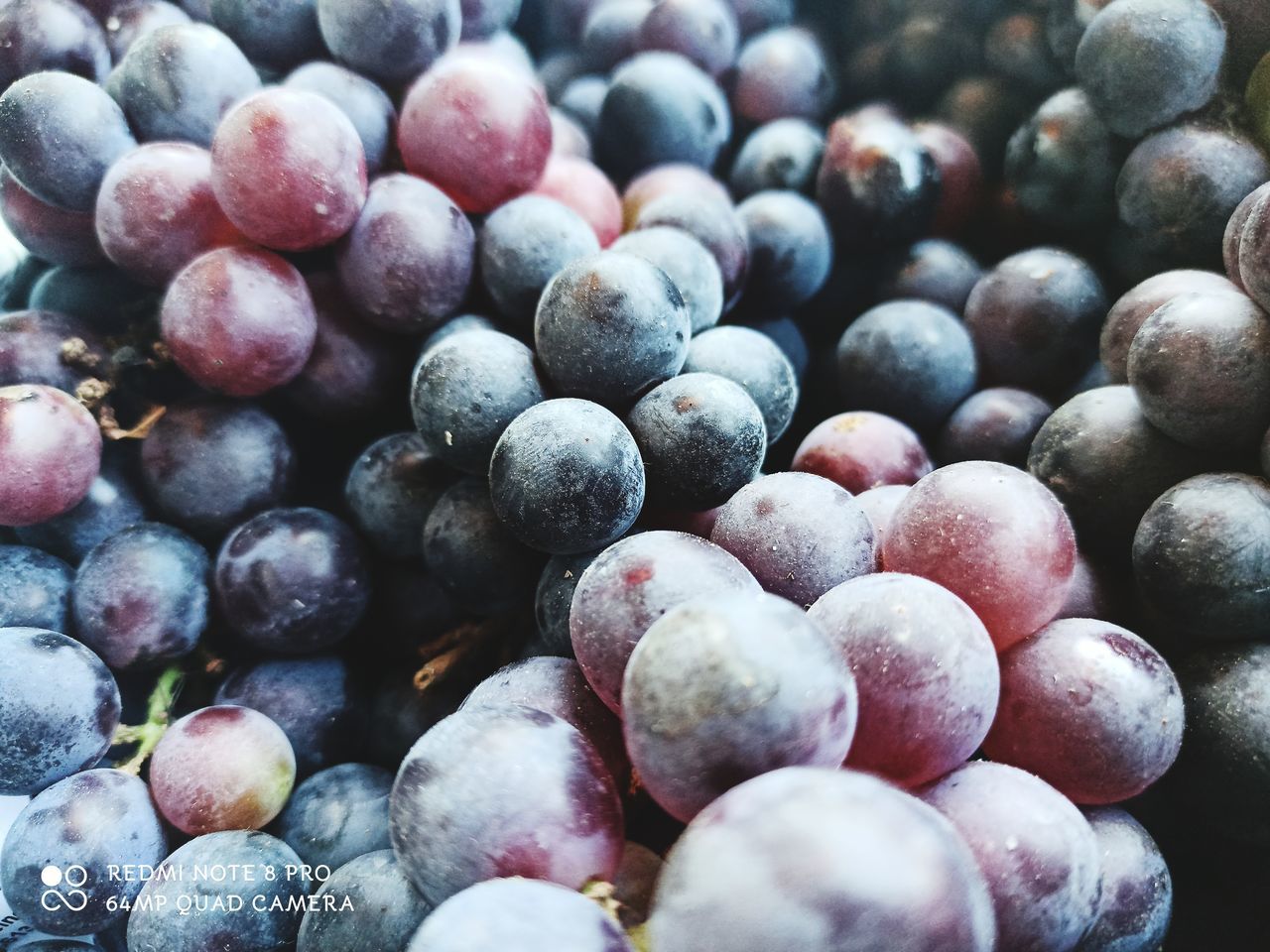 FULL FRAME SHOT OF BLUEBERRIES IN CONTAINER