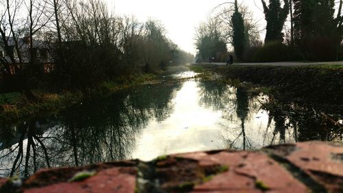 Reflection of trees in water against sky