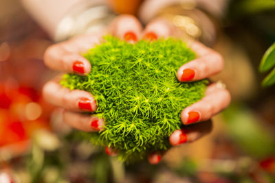 Close-up of hand holding berries