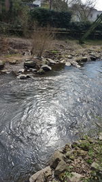 Scenic view of river