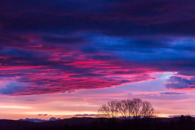 Low angle view of silhouette trees against dramatic sky