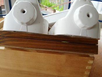 High angle view of white bird on table