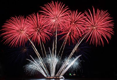 Low angle view of firework display at night