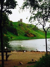 Scenic view of landscape with mountain in background