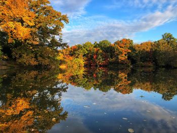Reflection of trees on lake during autumn