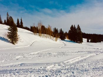 Snow covered land and trees against sky