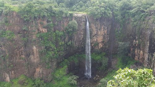 Scenic view of waterfall in forest