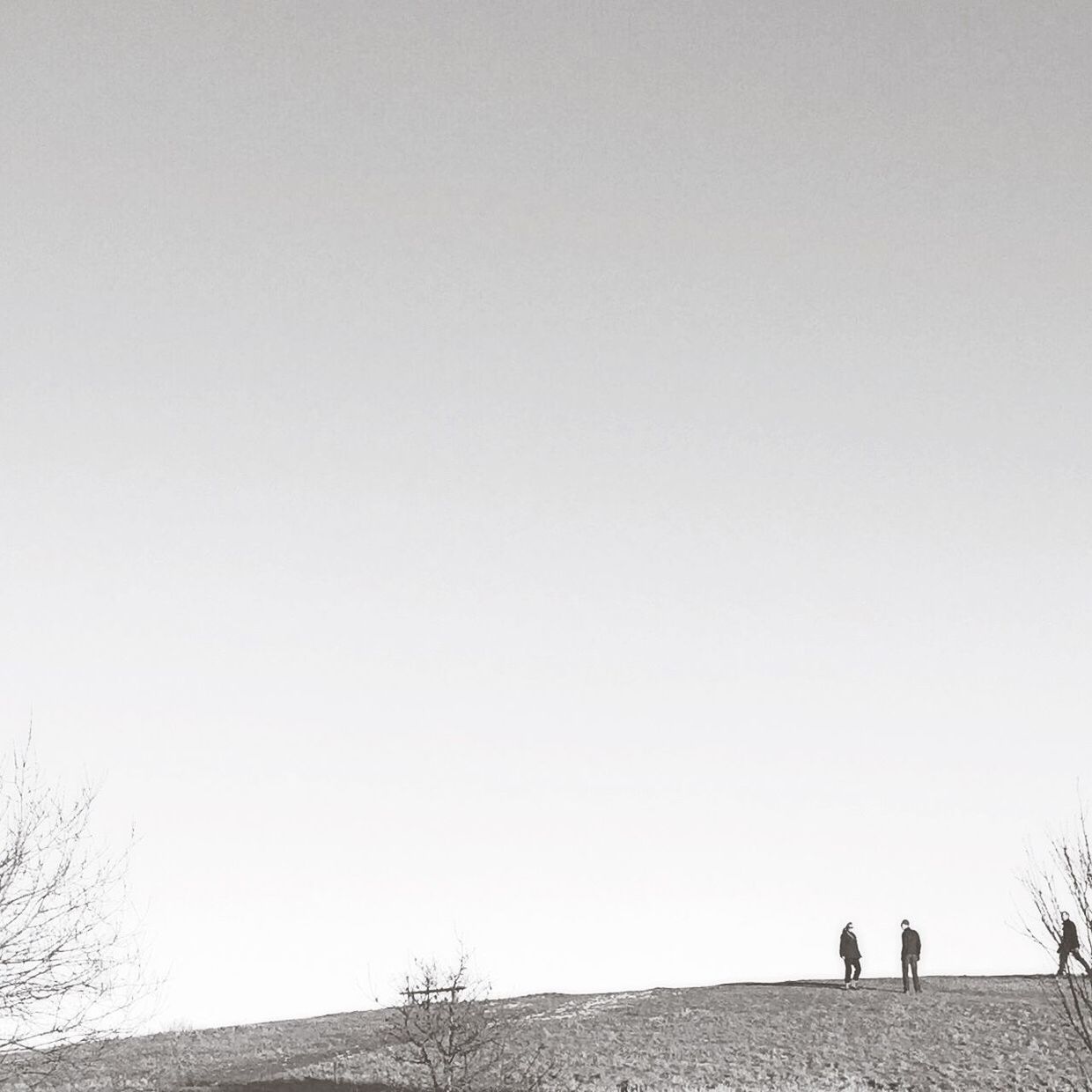 copy space, clear sky, men, lifestyles, walking, leisure activity, full length, silhouette, person, standing, nature, outdoors, day, togetherness, unrecognizable person, tranquility, low angle view