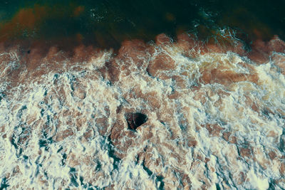 Full frame shot of coral underwater