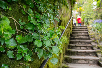 Rear view of person on staircase