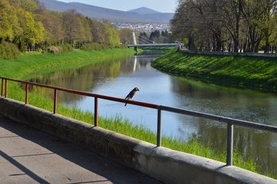 Scenic view of lake