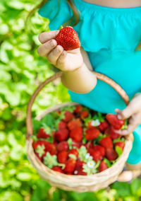 Girl holding fresh strawberry in farm