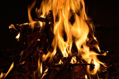 Close-up of bonfire at night