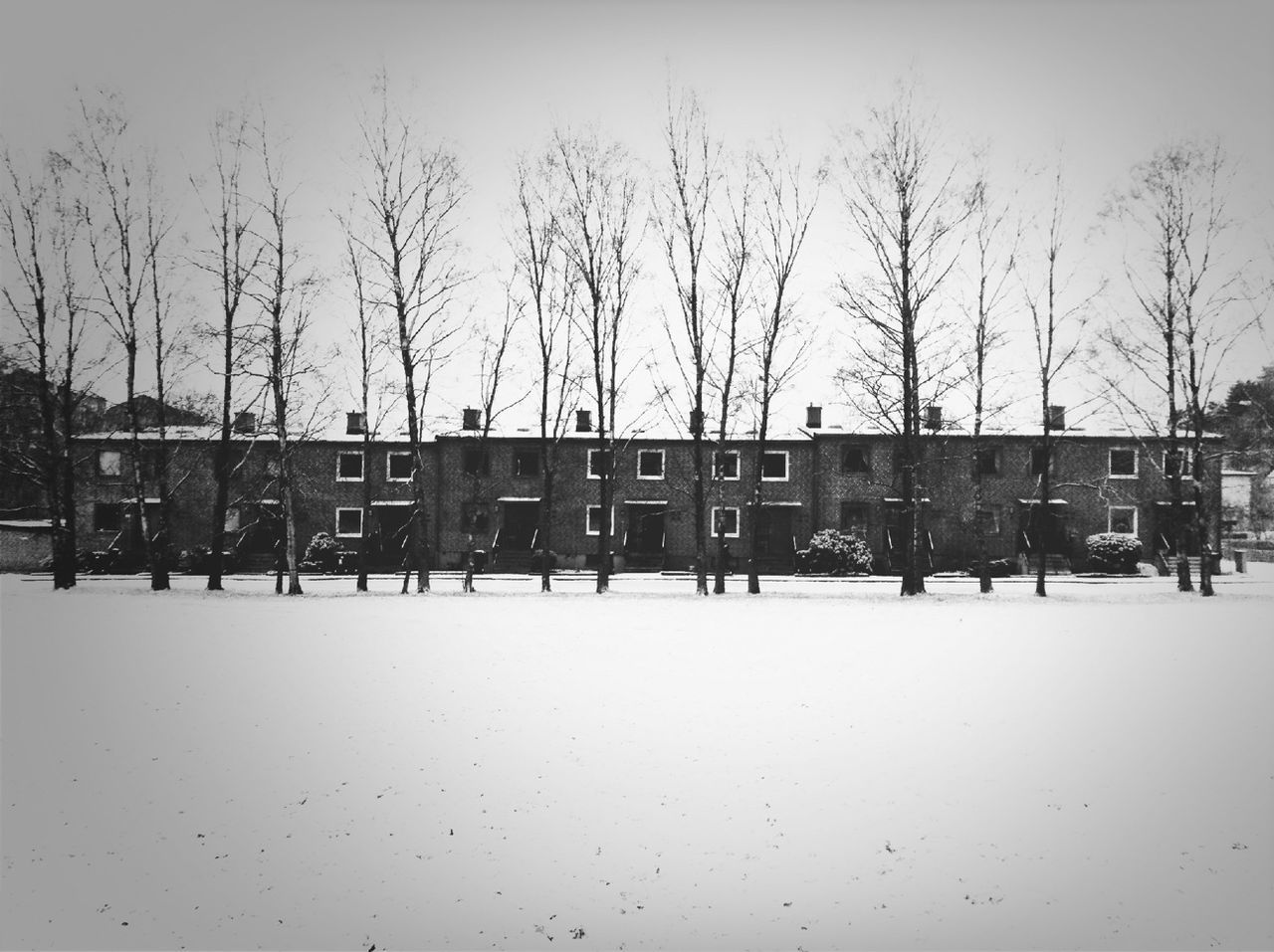 winter, snow, cold temperature, building exterior, architecture, built structure, bare tree, season, weather, clear sky, tree, city, sky, covering, day, outdoors, street, transportation, incidental people, car