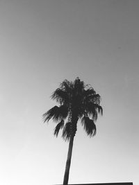 Low angle view of silhouette palm tree against clear sky