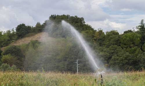 Irrigation fields