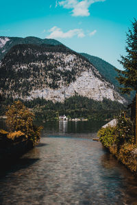 Scenic view of lake by trees against sky