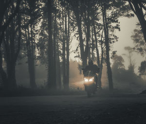 Rear view of man standing by trees in forest