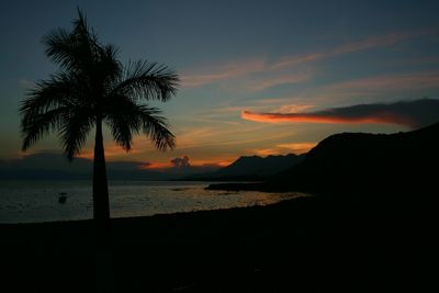 Silhouette trees by calm sea at sunset