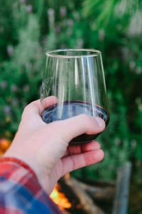 Close-up of hand holding wineglass