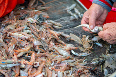seafood