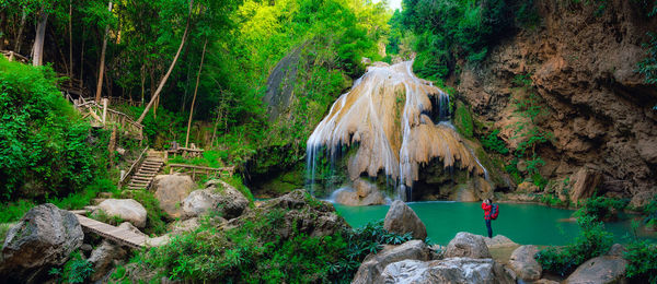 Panoramic view of rocks and trees in forest