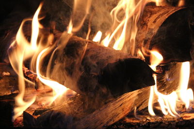 Close-up of bonfire at night