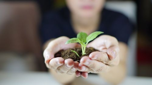 Close-up of woman holding plant