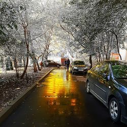 Road amidst bare trees against sky in city