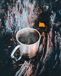 Close-up of water in container on tree trunk