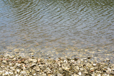 Full frame shot of sea shore