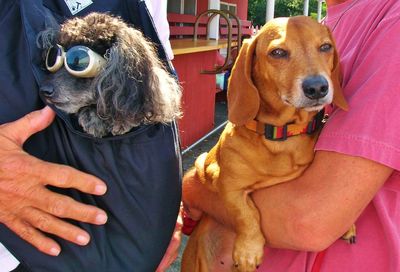 Midsection of two persons holding dog