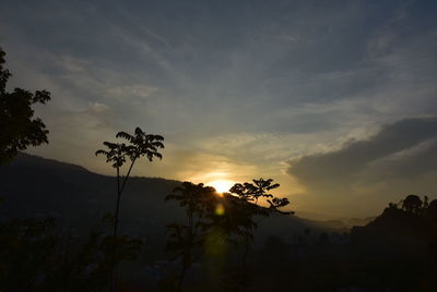 Low angle view of silhouette trees against sky during sunset