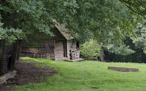 Abandoned built structure against trees