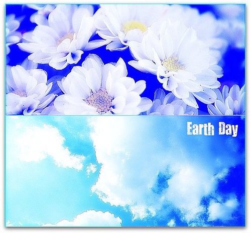 transfer print, blue, auto post production filter, white color, low angle view, flower, text, nature, sky, white, day, beauty in nature, no people, outdoors, close-up, cloud - sky, western script, growth, freshness, communication