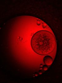 Close-up of red object on table