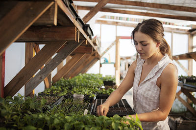 Female farmer working in greenhouse