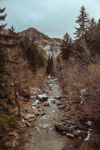 Scenic view of land against sky