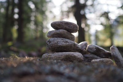 Stack of rocks against trees