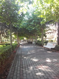 Footpath in park