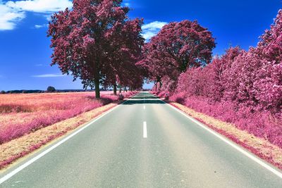 Road amidst flowering trees against sky during autumn