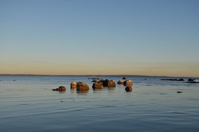 Scenic view of sea at sunset