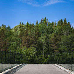 Road amidst trees against sky