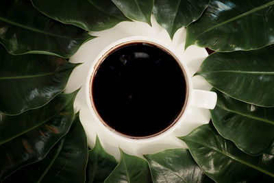 Directly above shot of tea cup and leaves