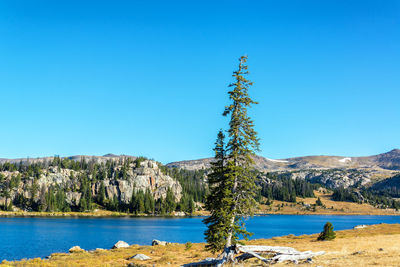 Scenic view of landscape against clear blue sky