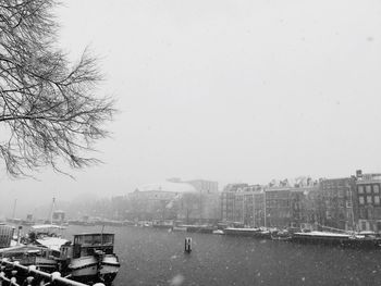 Boats moored at harbor against clear sky